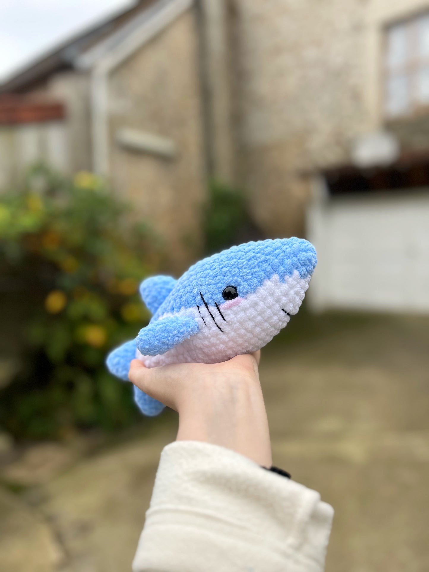 Mon Requin bleu