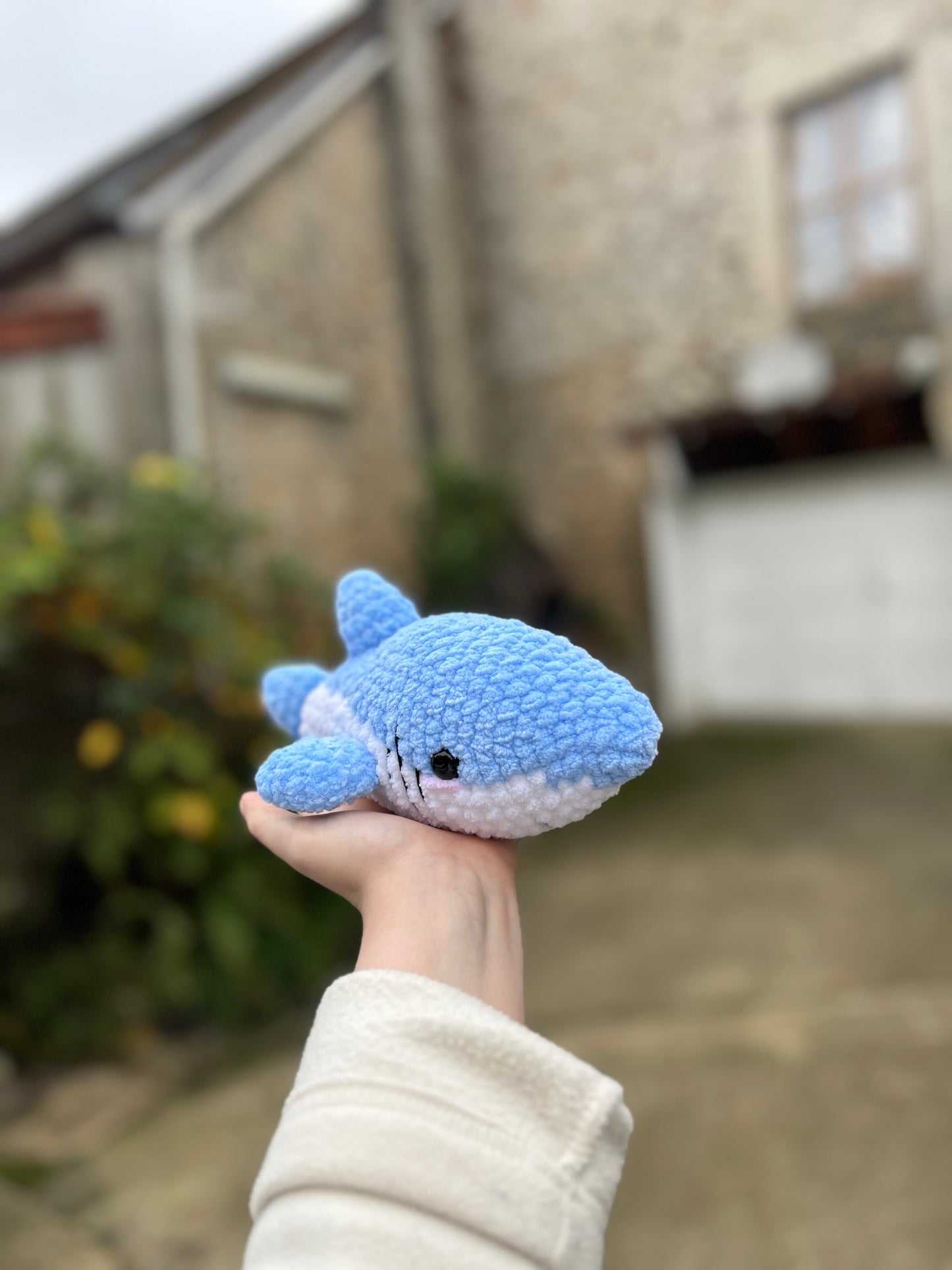 Mon Requin bleu